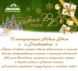 С Новым 2025 годом!